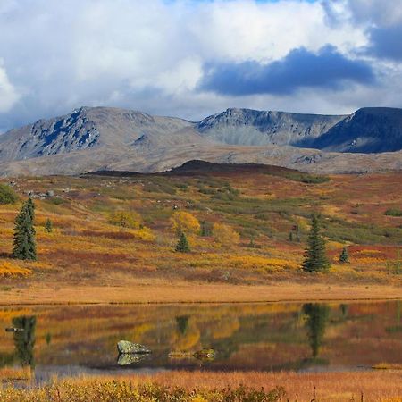 Caribou Lodge Alaska ทัลคีทนา ภายนอก รูปภาพ