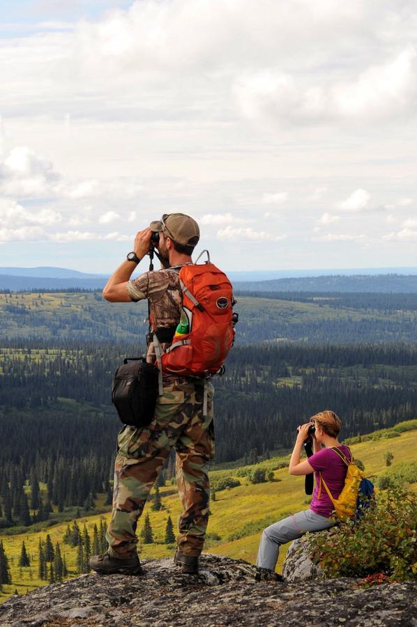Caribou Lodge Alaska ทัลคีทนา ภายนอก รูปภาพ