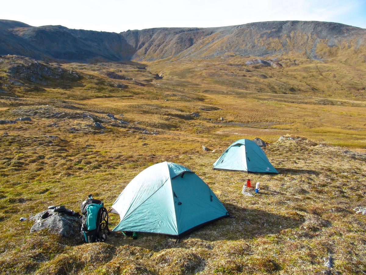 Caribou Lodge Alaska ทัลคีทนา ภายนอก รูปภาพ