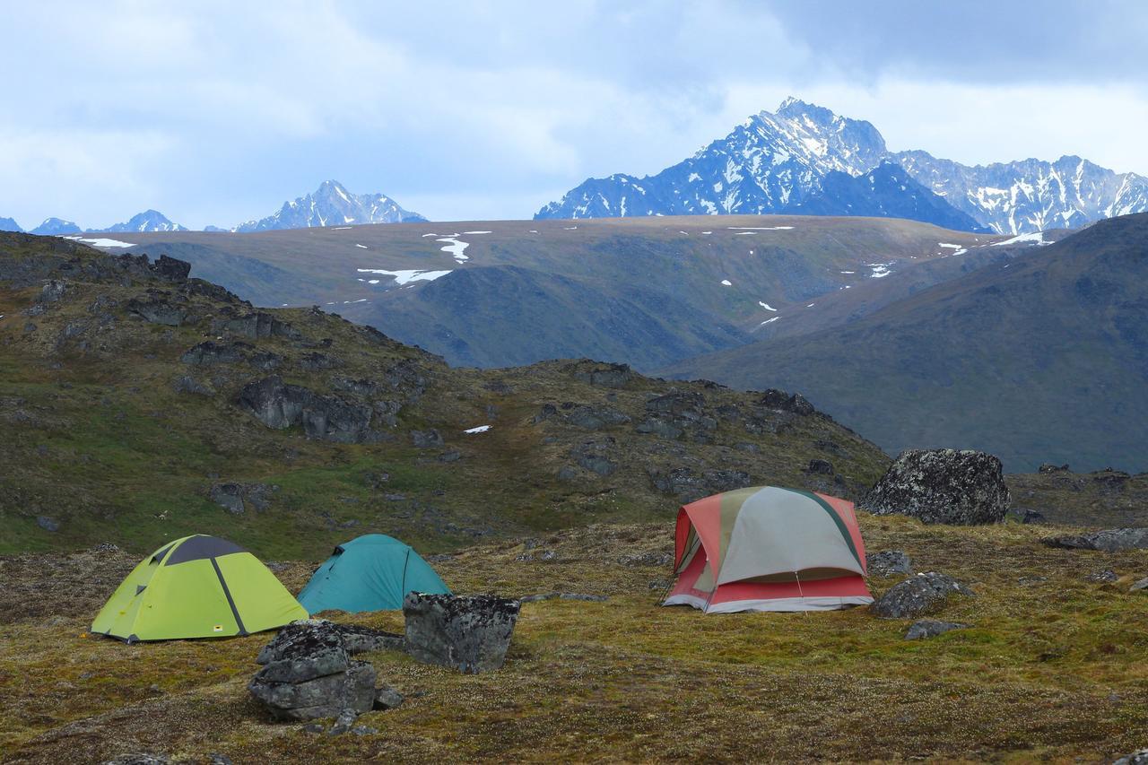 Caribou Lodge Alaska ทัลคีทนา ภายนอก รูปภาพ