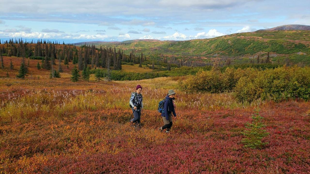 Caribou Lodge Alaska ทัลคีทนา ภายนอก รูปภาพ