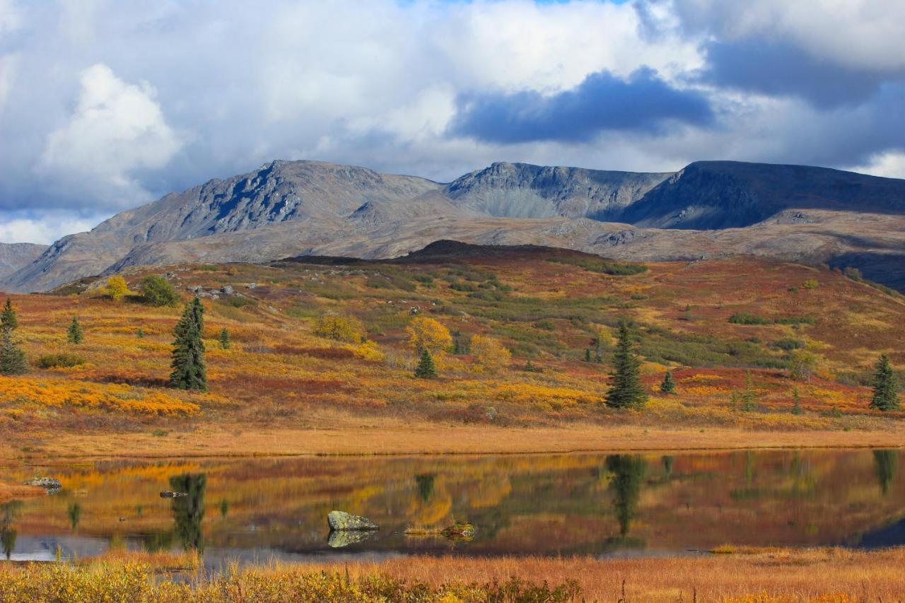 Caribou Lodge Alaska ทัลคีทนา ภายนอก รูปภาพ