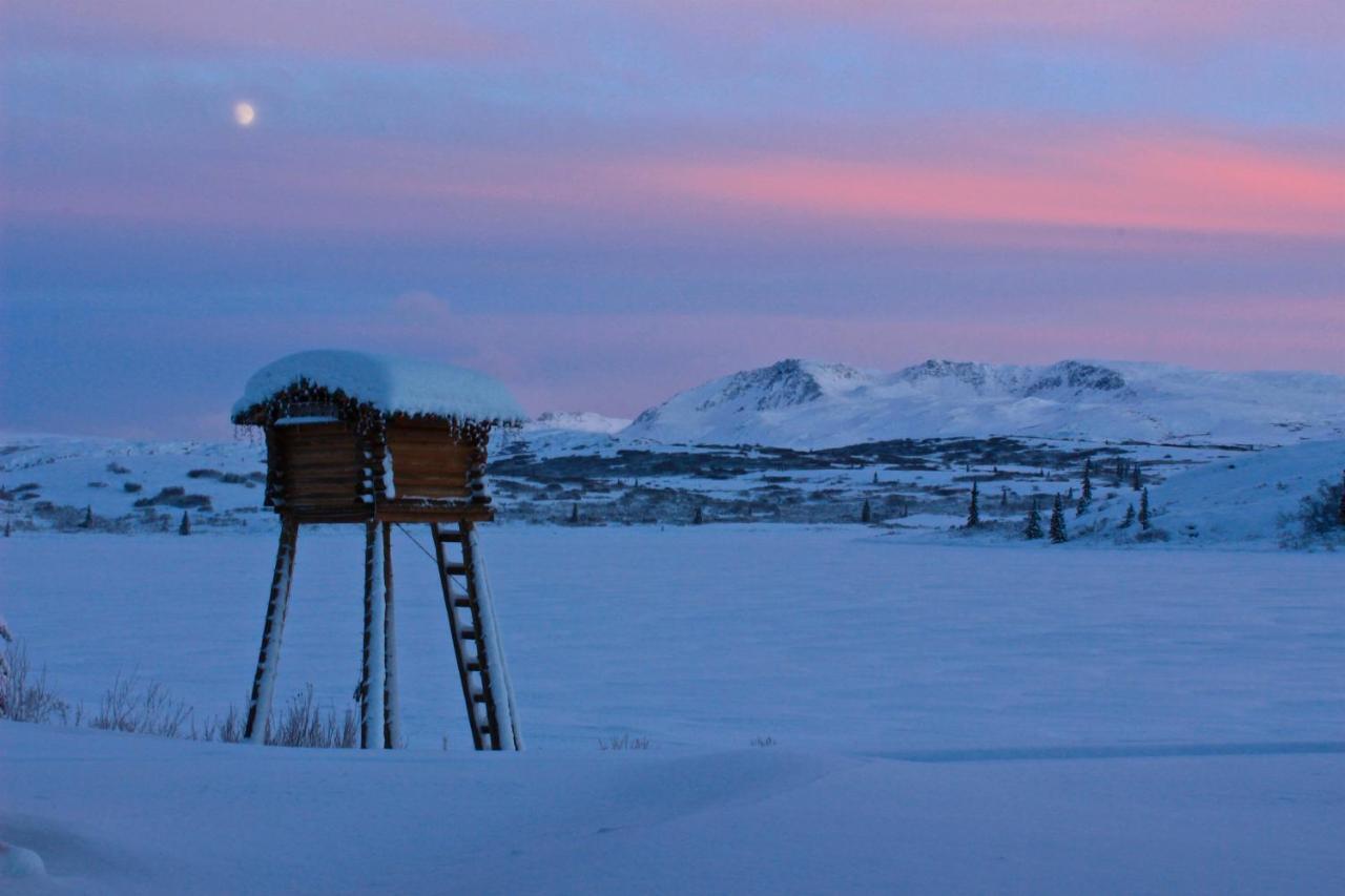 Caribou Lodge Alaska ทัลคีทนา ภายนอก รูปภาพ
