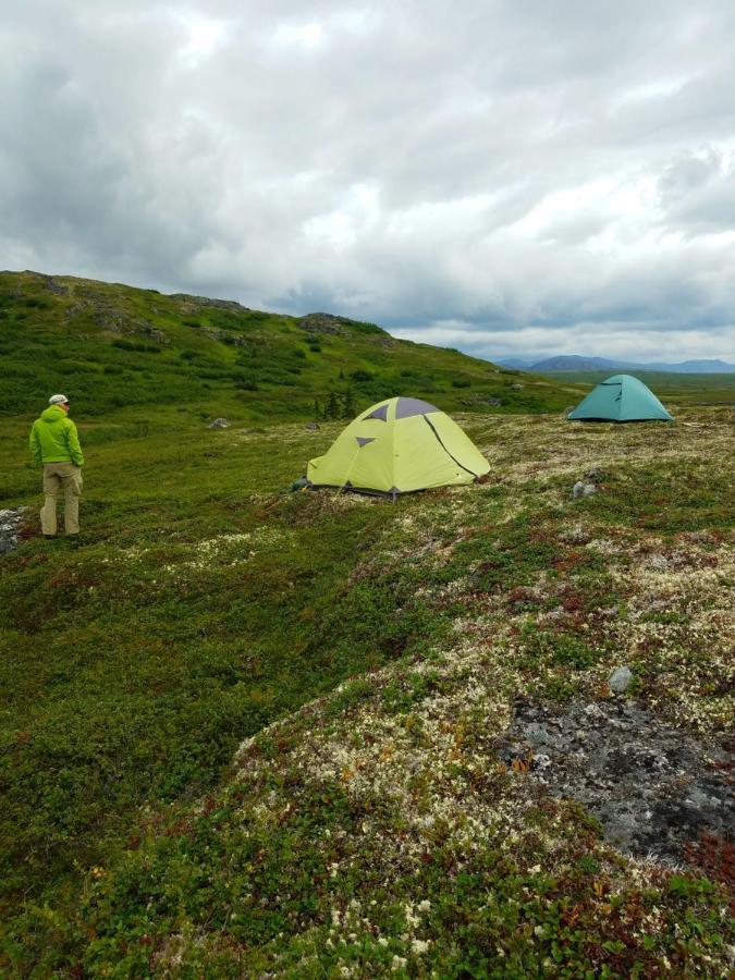 Caribou Lodge Alaska ทัลคีทนา ภายนอก รูปภาพ