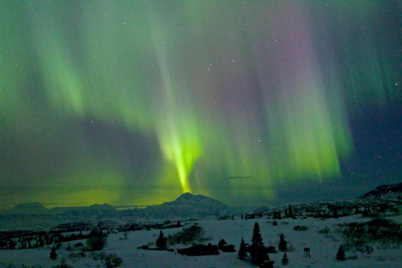 Caribou Lodge Alaska ทัลคีทนา ภายนอก รูปภาพ