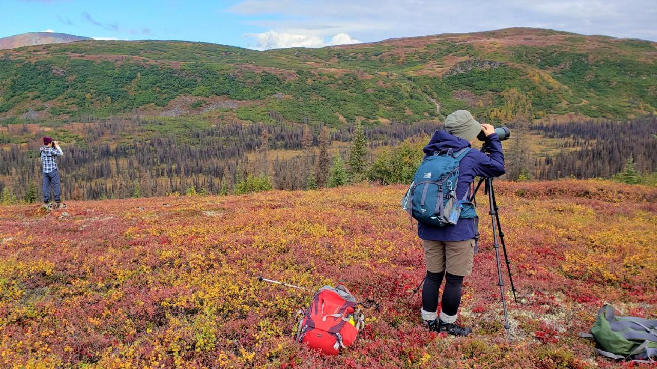 Caribou Lodge Alaska ทัลคีทนา ภายนอก รูปภาพ