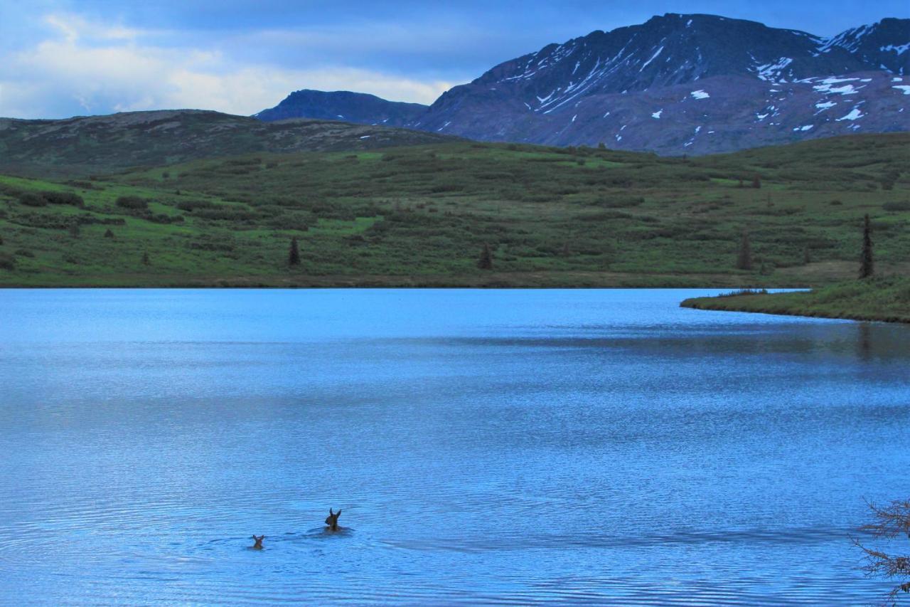 Caribou Lodge Alaska ทัลคีทนา ภายนอก รูปภาพ