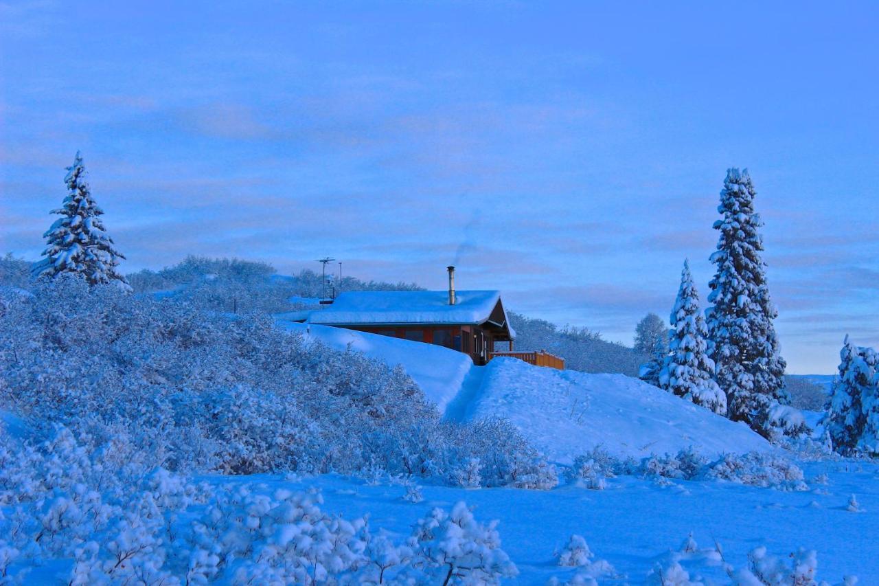 Caribou Lodge Alaska ทัลคีทนา ภายนอก รูปภาพ